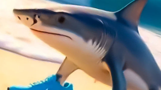 🦈👟 Tralalero Tralala: Lo Squalo con le Nike e il Nuovo Fenomeno del Brainrot